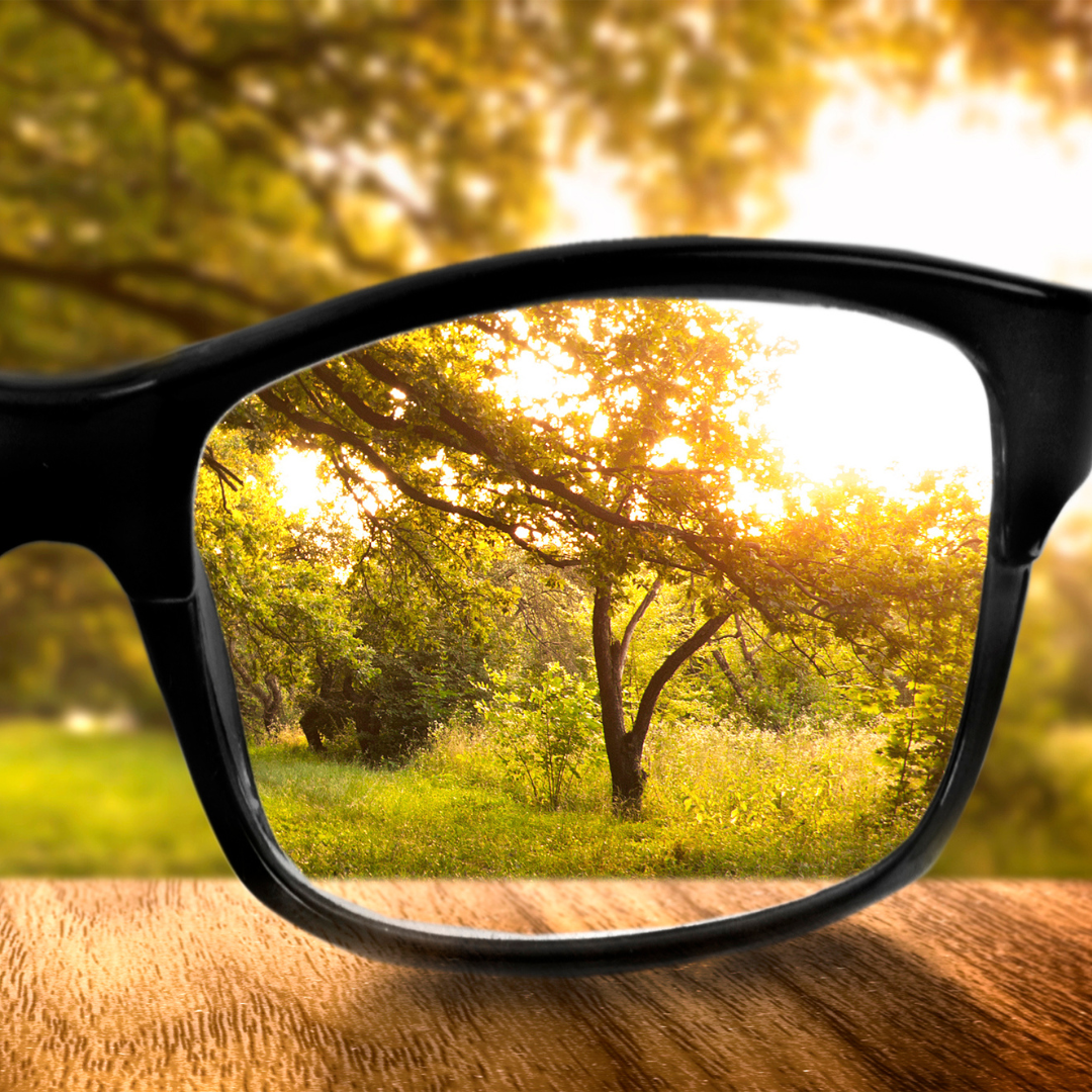 A pair of glasses putting a tree in focus